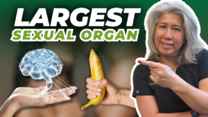 The Brain Is Your Largest Sex Organ | Shocking Truth!