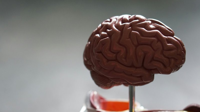 Understanding Erectile Dysfunction as a Window Into Brain Health