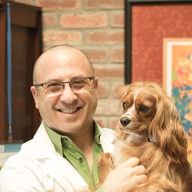About Dr. Ken Sharlin